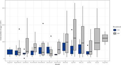 Reproductive performance and egg and larvae quality from first generation peruvian grunt Anisotremus scapularis (Tschudi, 1846): a comparative analysis with spawns from wild broodstock